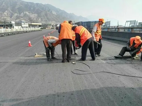 土默特左道路桥梁病害治理